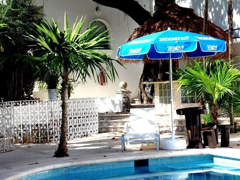 ***  Tropical Casablanca Party Zone Hotel Playa del Carmen Mexico